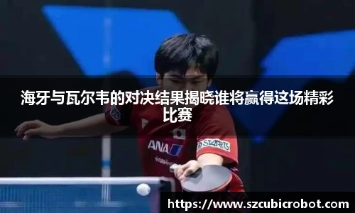 海牙与瓦尔韦的对决结果揭晓谁将赢得这场精彩比赛